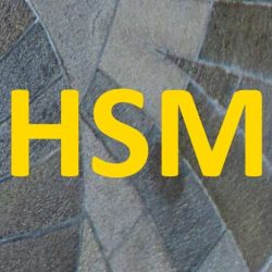 HSM Logo